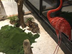 -水悦汇