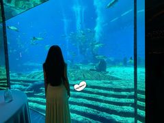 -OSSIANO奥西亚诺海底餐厅