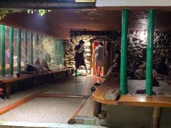 -庆会楼硫磺浴(西塔街店)