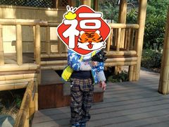 -望江楼公园