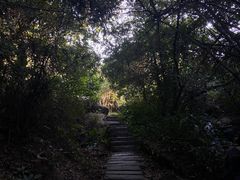 -阳台山森林公园