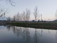 -苏记溪河鲢鱼庄(天府新区店)