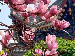 -西安市广仁寺