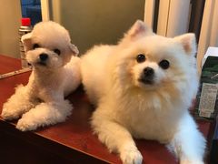 -伽利略剧本探案馆(国贸店)