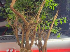 -小街47號江湖菜(四合院店)