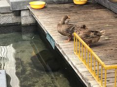 -泉乐坊步行街(烟酒特产平价超市店)