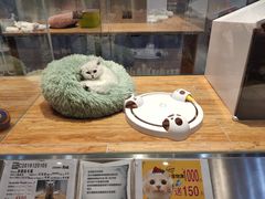 -狗道宠物(常熟印象城店)