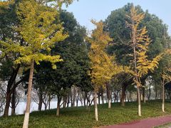 -洋湖国家湿地公园