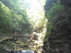 -牛背梁国家森林公园