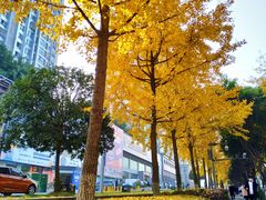 -两江幸福广场