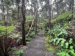 -夏威夷火山国家公园