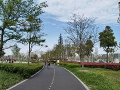 -上海山野camping·户外天幕烧烤·团建拓展营地