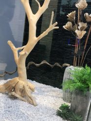 -木北造型