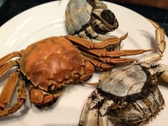 限量三只螃蟹-东方红海鲜百汇(国际大厦店)