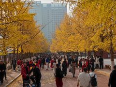 -辽宁大学(崇山校区)