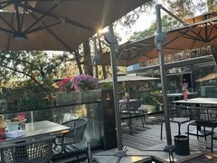 -蘇河湾·新鲁菜·泰山宴(泰山店)