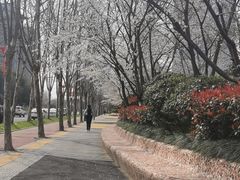 -砂之船奥莱(南京江宁店)