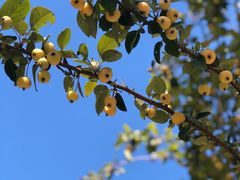 -北京雁栖湖国际会展中心