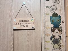 -MOCHA明星猫咖(田子坊店)