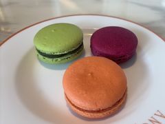 -ANGELINA(IFS国金中心店)