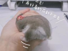 -吉林大学(前卫南区)