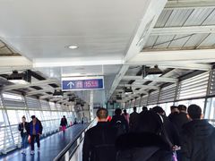 -望京西(地铁站)