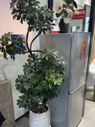 -LJOY丽锦造型·烫发染发