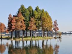 -贡湖湾湿地公园