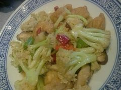 -大队长大灶鹅