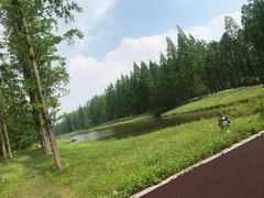 -黄海国家森林公园