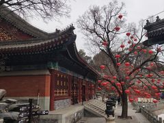 -香山公园