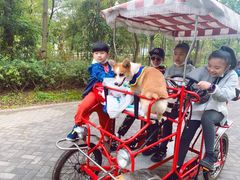 -上海海湾国家森林公园