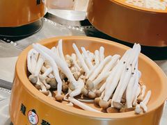 -龍歌自助小火锅(市南金茂湾店)