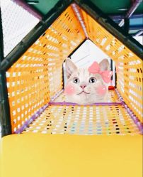 -嘻哈乐儿童乐园