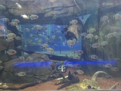 -石家庄海洋公园