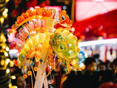 -越秀西湖花市(广州城市广场花卉店)