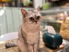 -小时光咖啡馆(北锣鼓巷店)