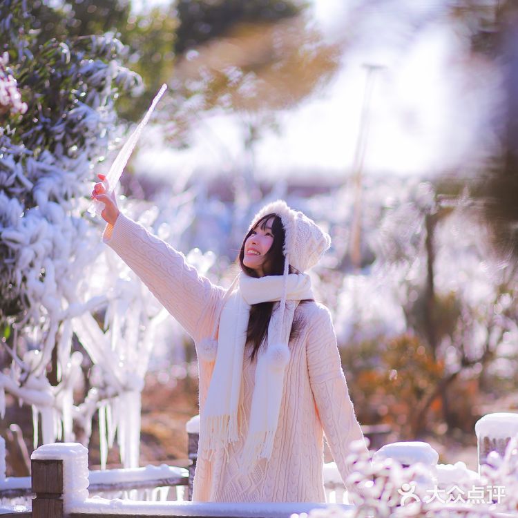 在无锡也能拍到冰天雪地啦～无锡探店黄杨居冰凌世界