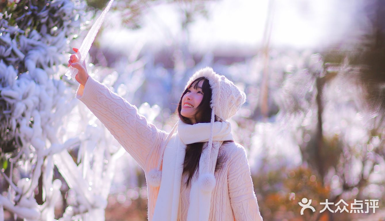 在无锡也能拍到冰天雪地啦～无锡探店黄杨居冰凌世界