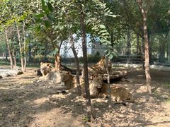 -北京野生动物园