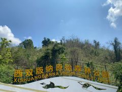 -西双版纳原始森林公园