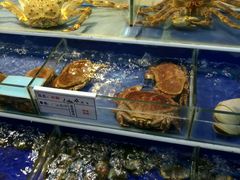 -海鲜城大家餐厅