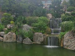 -南宁荔园维景国际酒店·荔园中餐厅