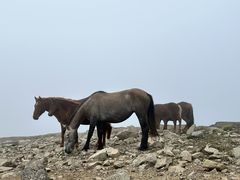 -灵山
