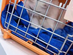 -纳吉亚猫专科动物诊疗中心(蒋宅口分院)