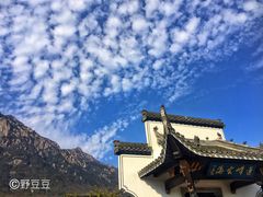 -莲峰云海景区