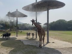-宁波野生动物园