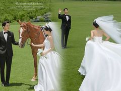 -北京群众马术培训基地