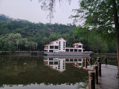 -深圳仙湖植物园