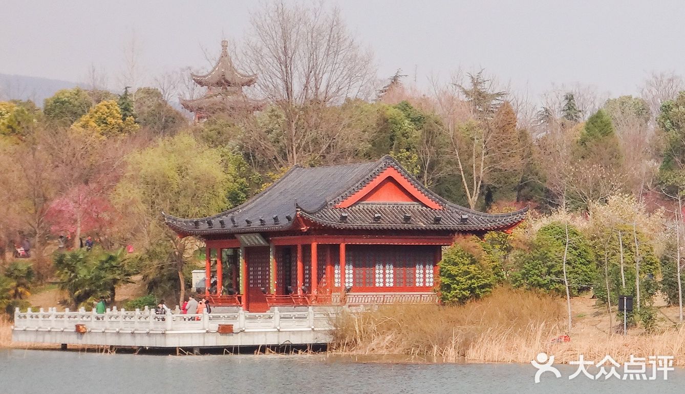 地理位置： 南京梅花山 就在紫金山上 整个紫金山景点